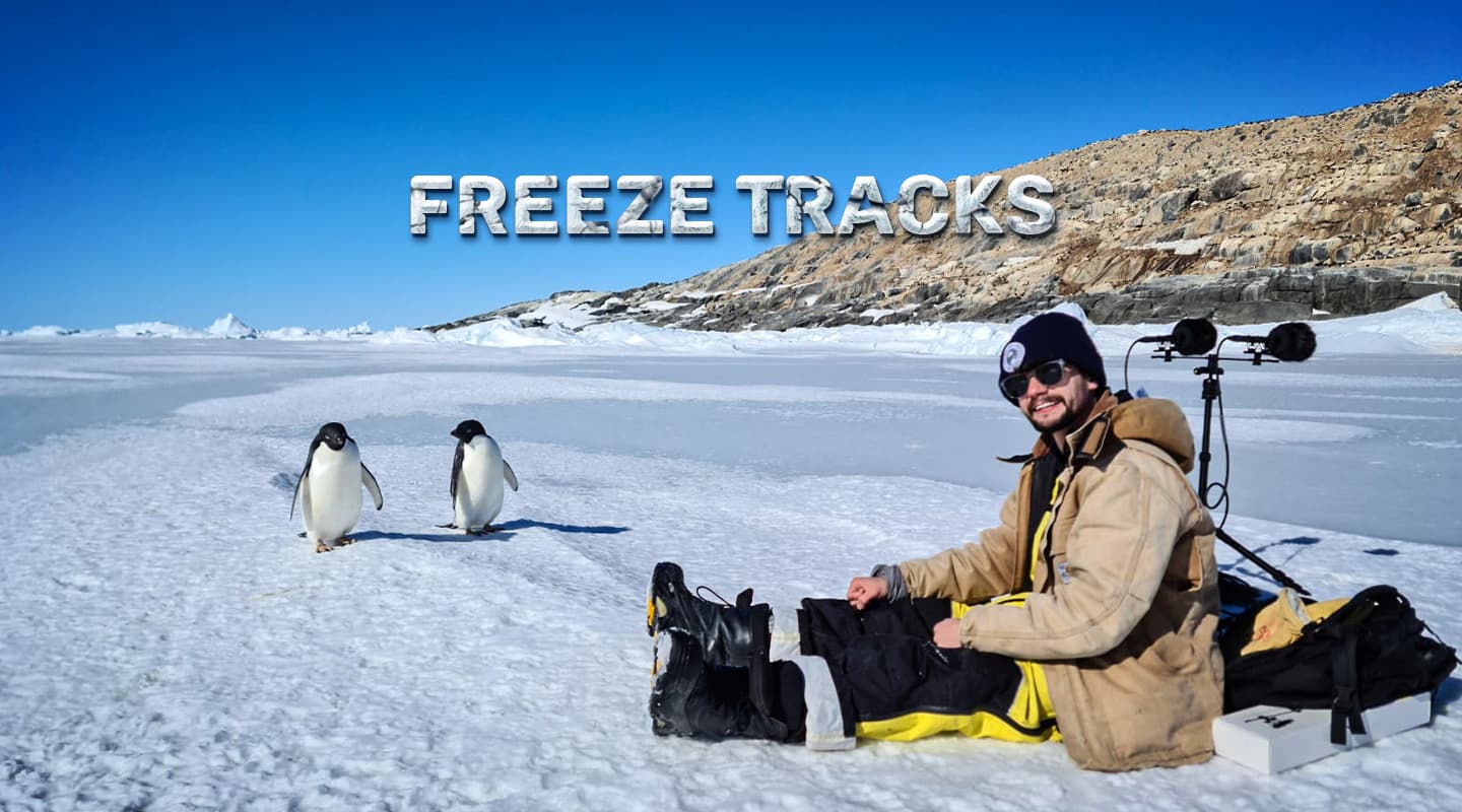 Freeze Tracks