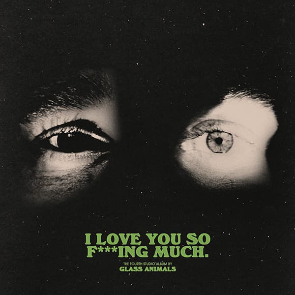 I Love You So F***ing Much_Album-pichi