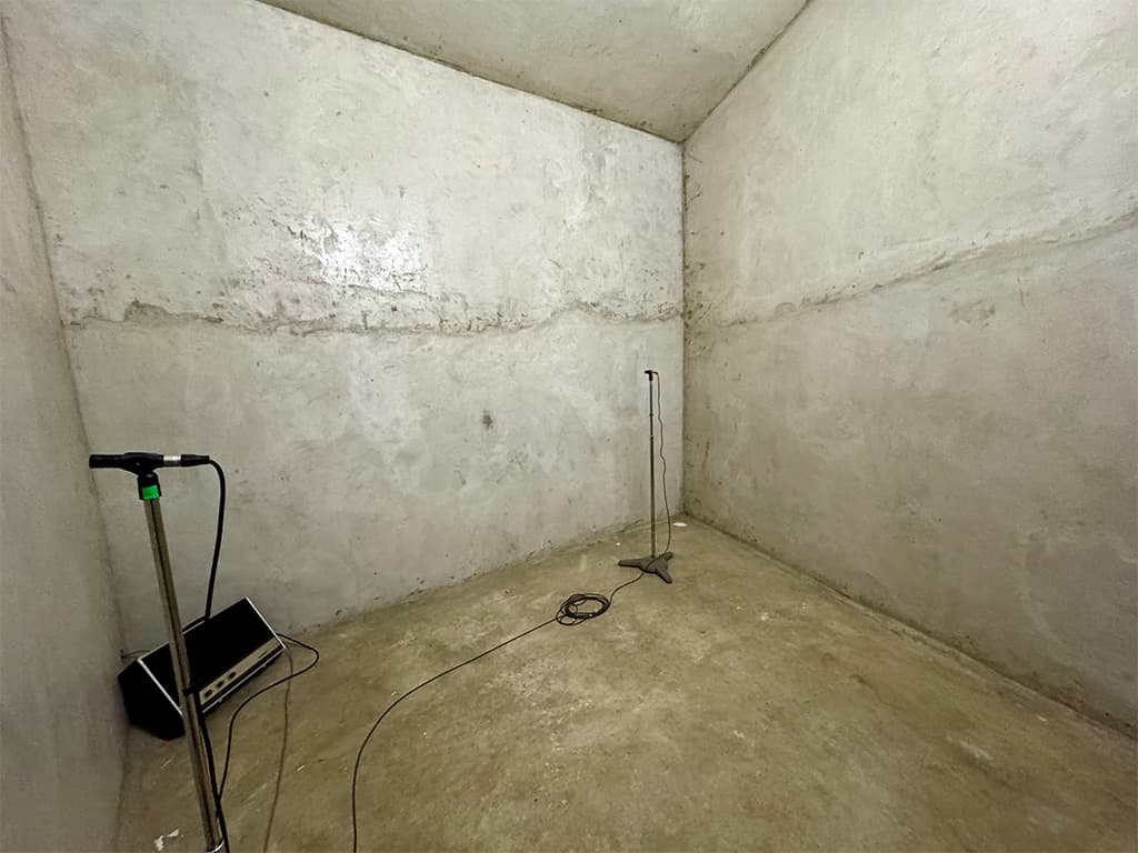 1.The-echo-chamber-pichi